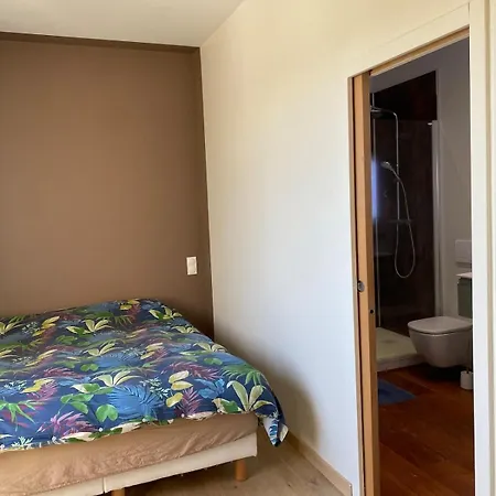Maison Viticole Dans Le Sud De La France Avec Grand Piscine 別荘 *