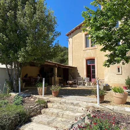 Maison Viticole Dans Le Sud De La France Avec Grand Piscine Moussan