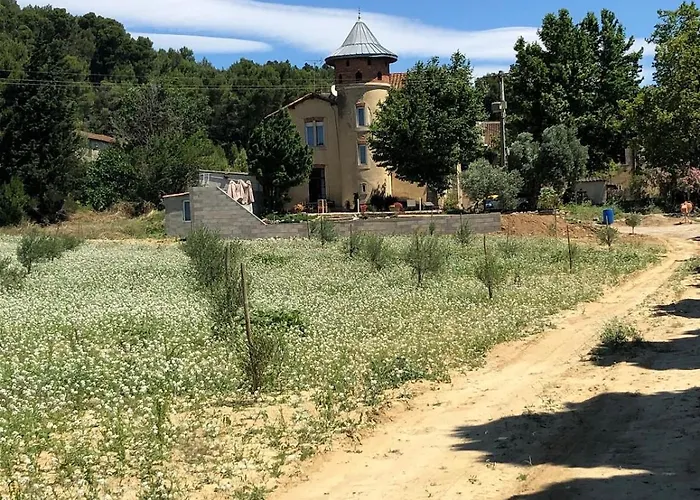 Maison Viticole Dans Le Sud De La France Avec Grand Piscine